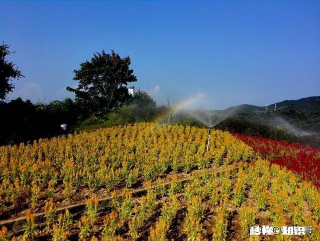 是小孩重要还是挣钱重要，两者真的只能取其一吗