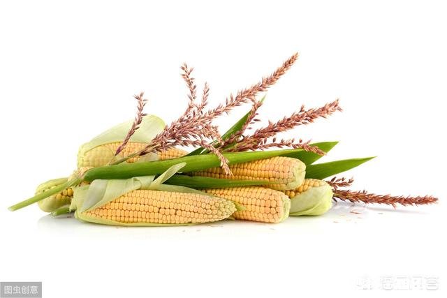 怀孕初期都应该吃什么对胎儿发育有帮助什么时候开始喝含DHA的孕妇奶粉