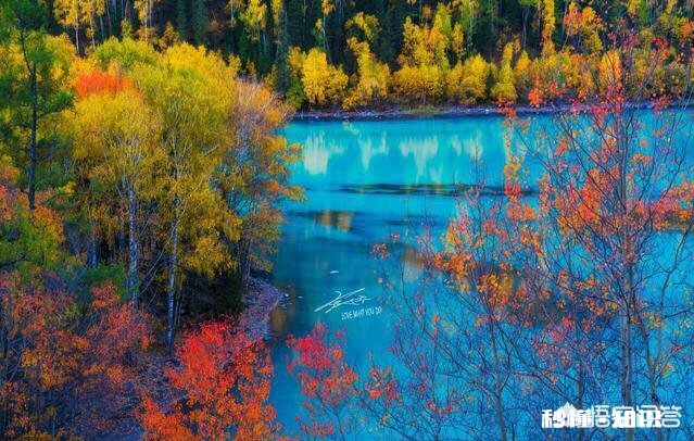 化痰的食疗方法有哪些