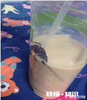 南方有哪些东西可以吓到北方