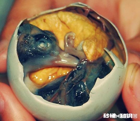 南方有哪些东西可以吓到北方