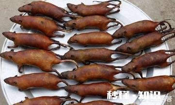 南方有哪些东西可以吓到北方