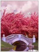 无“性”婚姻在现在的社会是普遍存在的吗