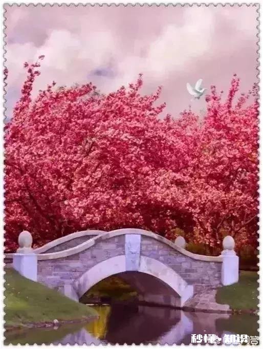 无“性”婚姻在现在的社会是普遍存在的吗