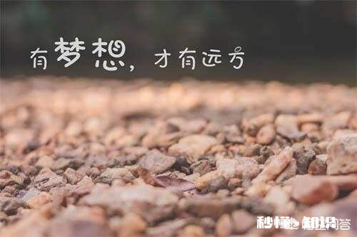 现在的人，为什么大部分都败给了钱