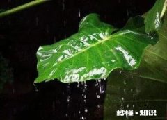 上联：眉月初生闺阁冷，请朋友们接下联