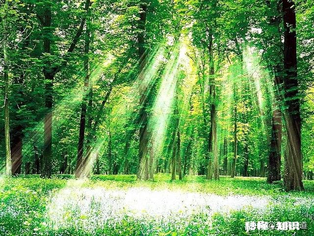 天润物华秀，——欲求下联