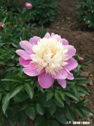 如果有一天，我们内心不再开心，蒙上那层黑暗雾霾，能否还能重见光明