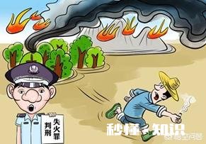 为什么有人觉得今年世界各地火灾这么多