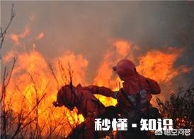 为什么有人觉得今年世界各地火灾这么多