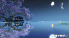 《逆水寒》是一款什么游戏