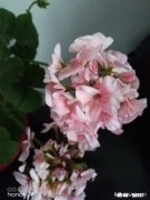 一个老乡借我1000块钱说第二天还我，现在几个月过去了我该怎么要回来