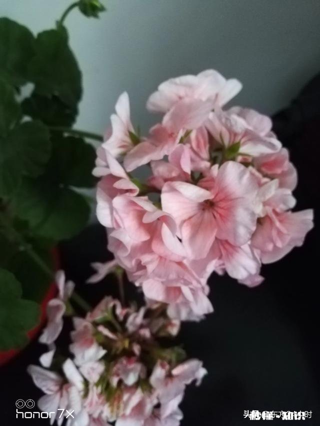 一个老乡借我1000块钱说第二天还我，现在几个月过去了我该怎么要回来