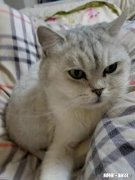 敢不敢爆出你交了多少个女朋友，如何追到手的