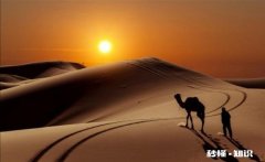 我为沙漠添滴水，凡是进沙漠的车辆都要带桶水，这个提议可行吗