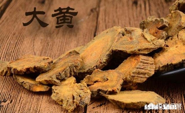 农村人种植中药材成本较高，高投入能换来高效益吗