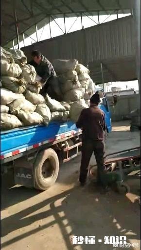 农村人种植中药材成本较高，高投入能换来高效益吗