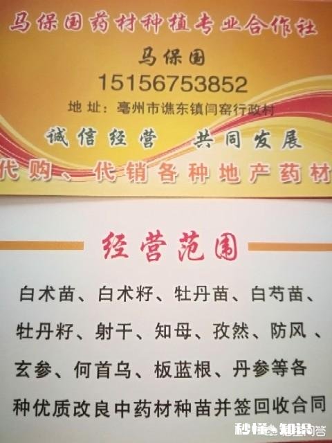 农村人种植中药材成本较高，高投入能换来高效益吗