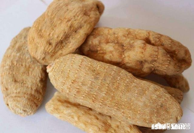 农村人种植中药材成本较高，高投入能换来高效益吗