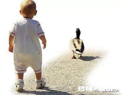 两岁半的孩子，说话声音很小，说是肺功能不全，该怎么锻炼呢