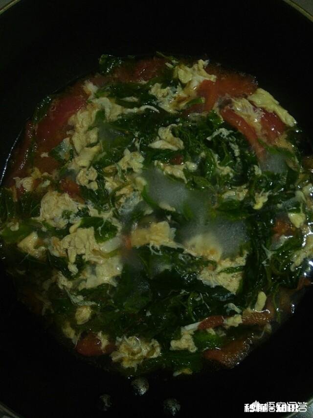 长期用黄花苗泡茶会有哪些神奇的功效