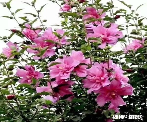 真正的爱会感动天感动地吗