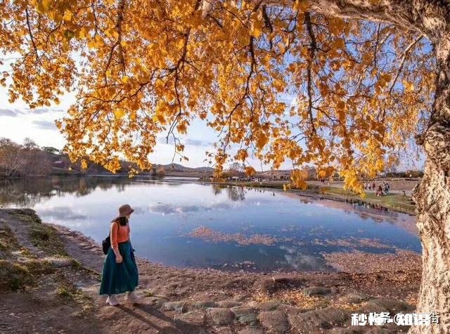 真正的爱会感动天感动地吗