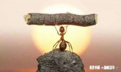 戏曲的常用表达方式有哪些