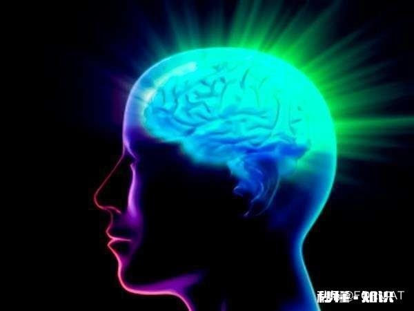 意识并不属于大脑的一部分，那意识到底是个什么东西