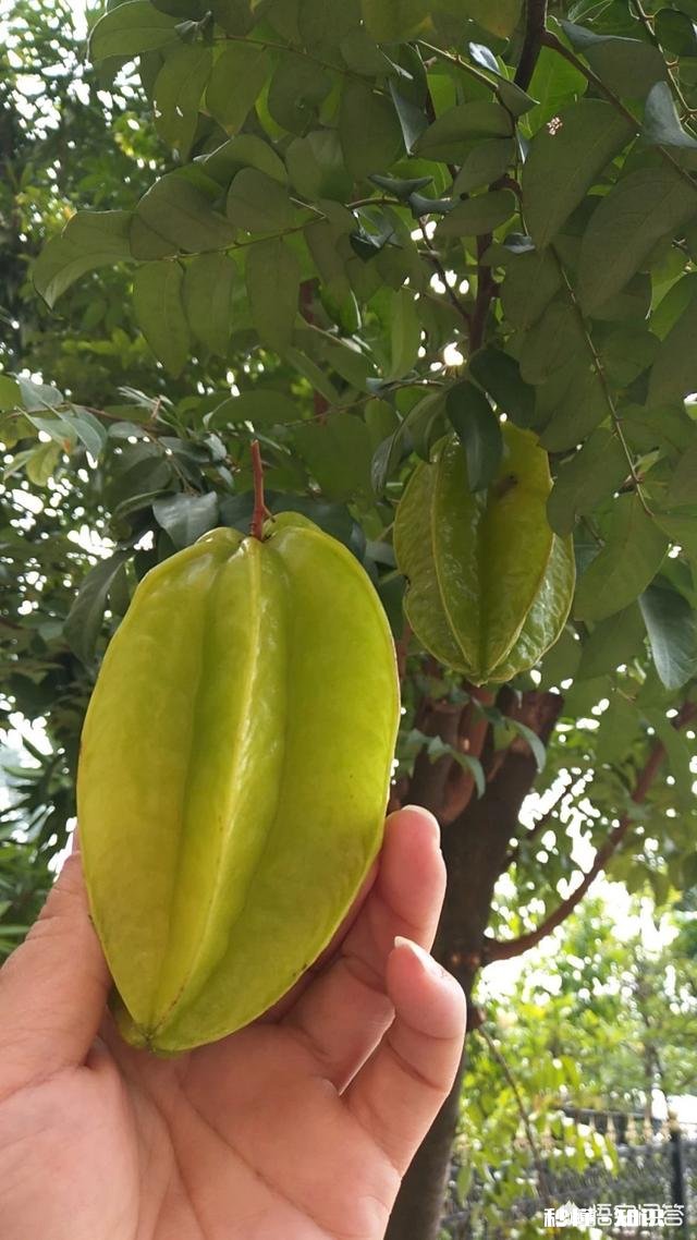 你在近期收到过哪些来自远方的新年问候