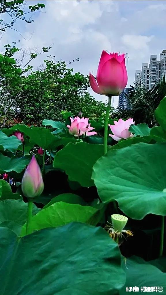 我老婆花钱大手大脚,我十分节俭,为此经常吵架,该怎么办