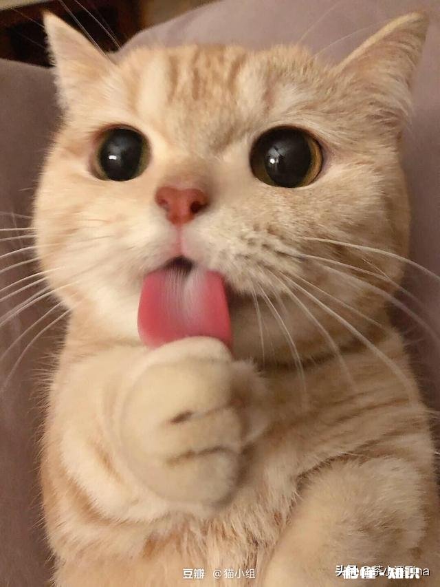 短视频拼接没有时间是为什么