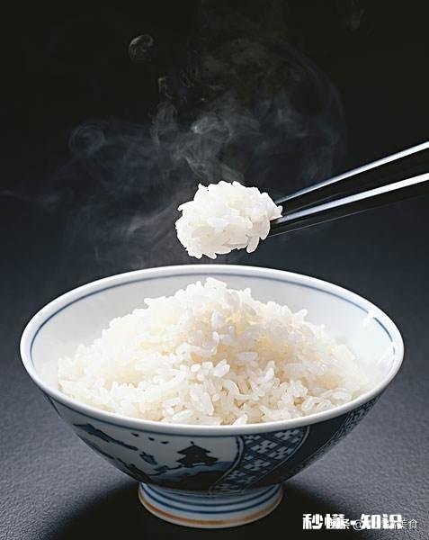 新手如何判断煮米的水是否刚好合适