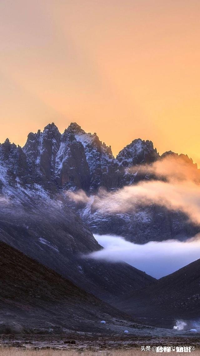 有哪些带有绿字的诗句