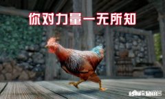 《上古卷轴5》里，有哪个NPC让你很想杀掉