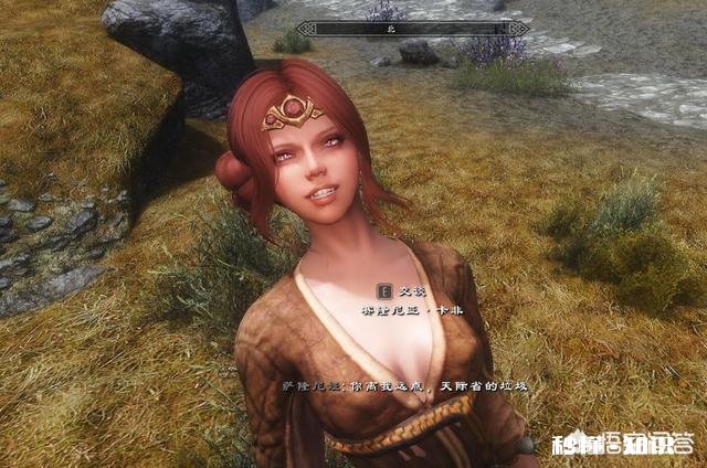 《上古卷轴5》里，有哪个NPC让你很想杀掉