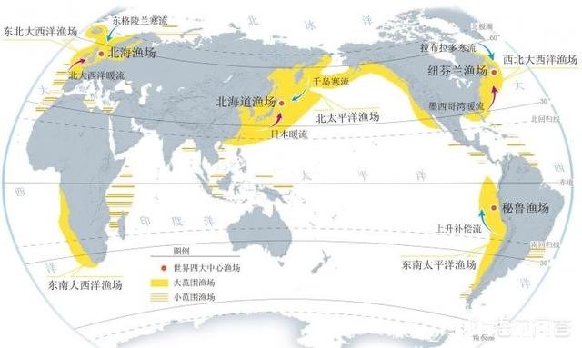 你们认为东海和渤海的海鲜哪个海域的最好吃