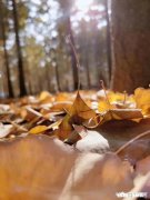 三十多的你在外面混了多少年认真干活了吗
