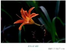 淘宝相机店铺收二手相机，说明了什么