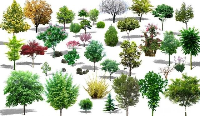 自媒体，哪里去找素材资源