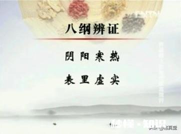 什么是中医辨证法思想