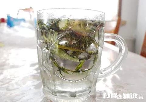 蒲公英有哪些功效呢