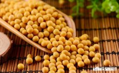 多吃黄豆对人有什么好处