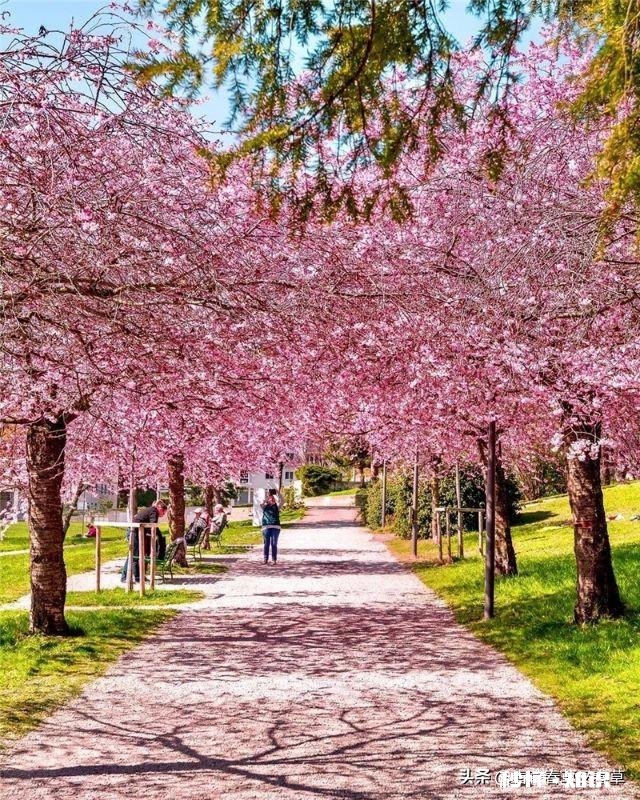 一个有家室的男人向你表白，该怎么办