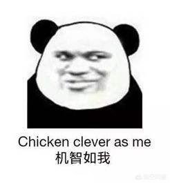 女朋友问你有几个前任,你该怎么回答