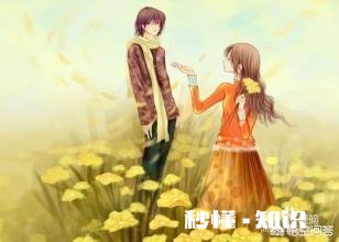 女朋友问你有几个前任,你该怎么回答