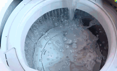 怎么清洗田螺身上的青苔