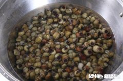 怎么清洗田螺身上的青苔