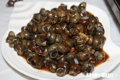 怎么清洗田螺身上的青苔