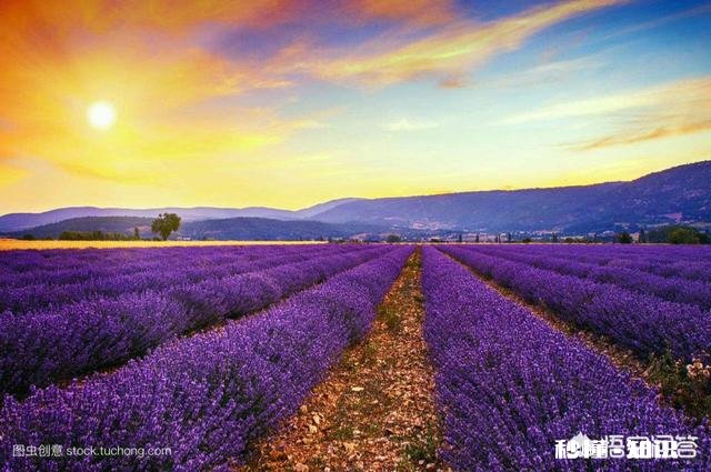 为什么有的人无论晚上睡得多么早,早上都不愿意起来